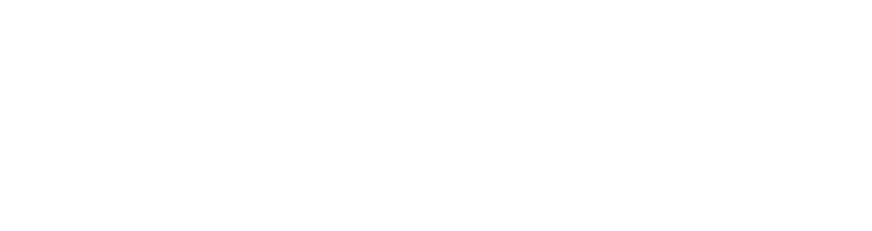 Lakota Consultoria